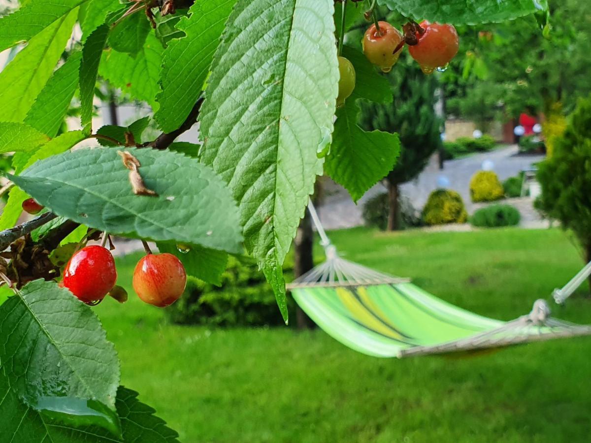 Villa Zenko Briuhovîci Exterior foto