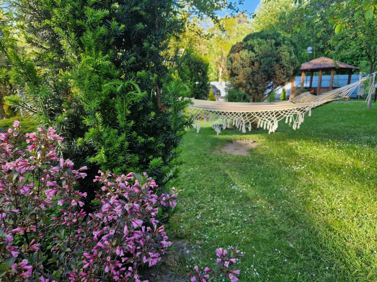 Villa Zenko Briuhovîci Exterior foto